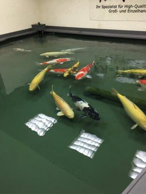 IMG_0029.jpg