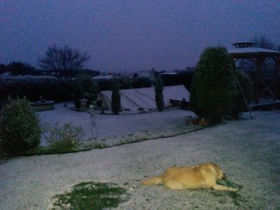 erste Schnee.jpg