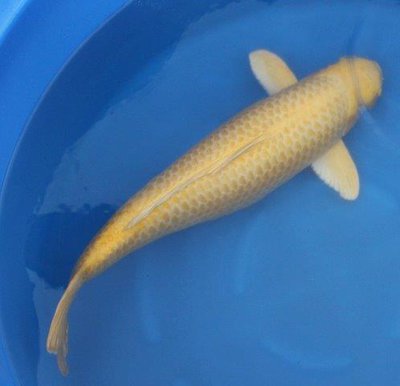 2910_0044.jpg