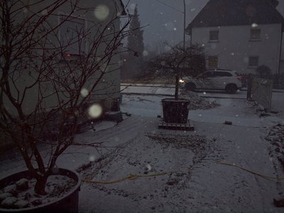 P1016246.JPG