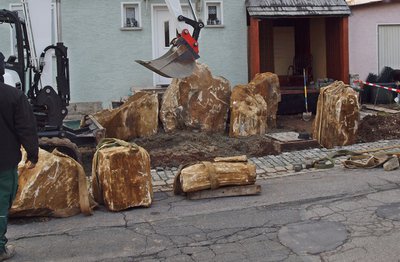 P1016361.JPG