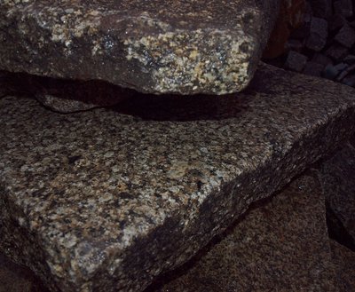 P1016412.JPG