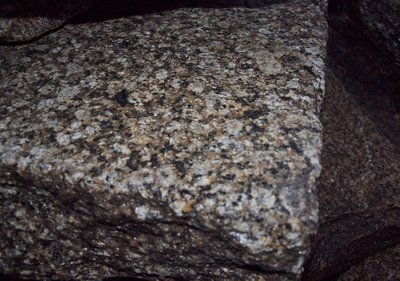 P1016423.JPG