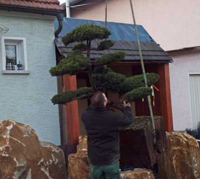 P1016490.JPG