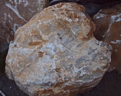 P1016519.JPG