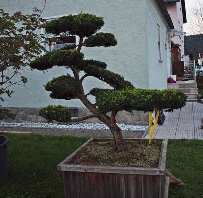 P1015755.JPG