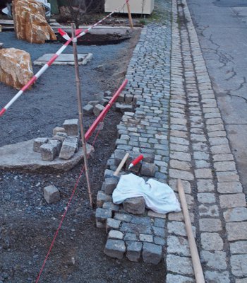 P1016581.JPG