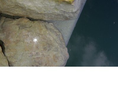 20151206_102240.jpg