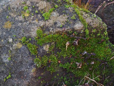 P1016662.JPG