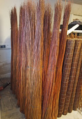 P1016825.JPG