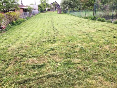 Grundstück 03 jap. Garten.jpg