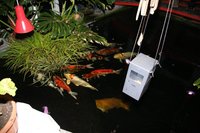 IMG_4067.jpg