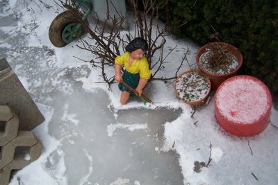 116.jpg