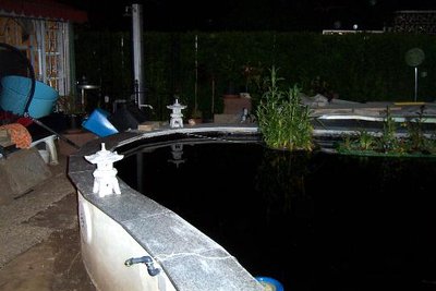 139.jpg