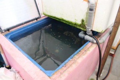 Quarantäne Klein_3.jpg