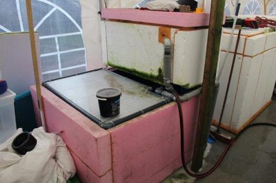 Quarantäne Klein_1.jpg