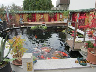 kukuck012b.jpg