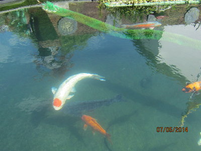 Wasser015.jpg