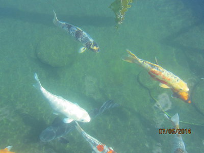 Wasser014.jpg