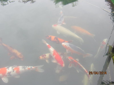 Wasser013.jpg