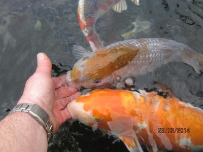 Wasser009.jpg
