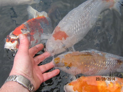 Wasser008.jpg