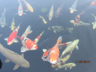 Wasser005.jpg