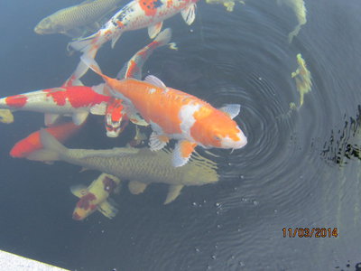 Wasser003.jpg