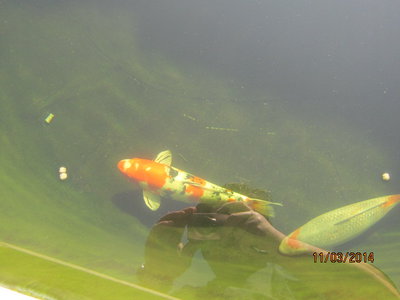 Wasser002.jpg