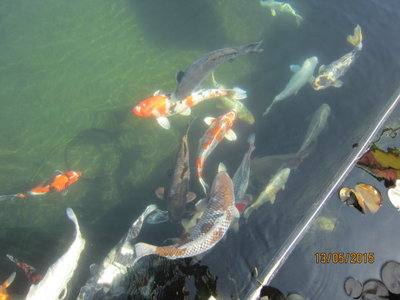 Wasser027.jpg