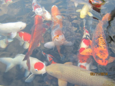 Wasser026.jpg