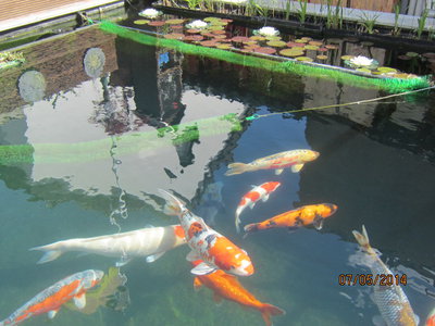 Wasser018.jpg