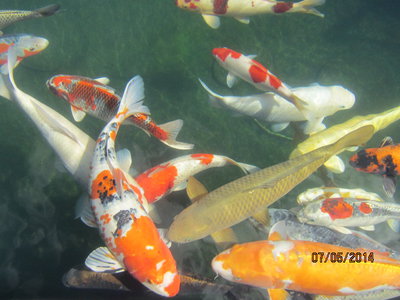 Wasser016.jpg