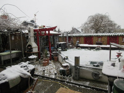 erster schnee 001.jpg