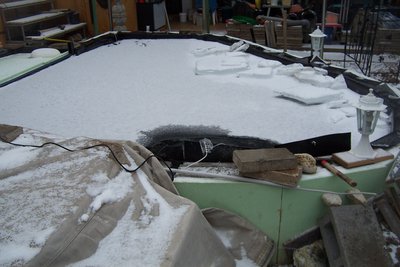 teich im winter 013.jpg