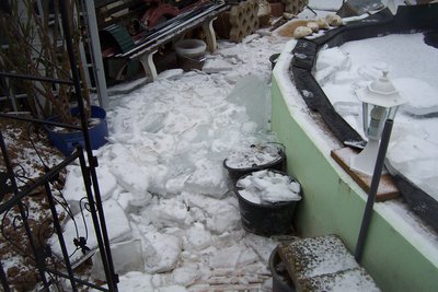 teich im winter 010.jpg