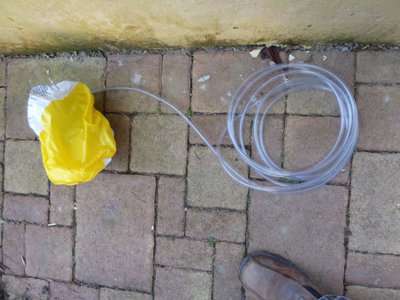 PE1020532.JPG