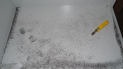 P1030742.jpg