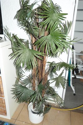 P1120109.JPG