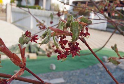 P1017318.JPG