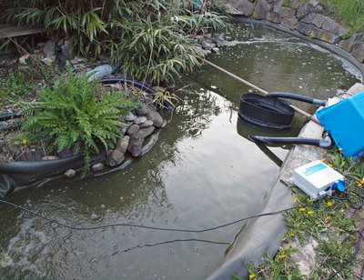 P1017434.JPG