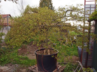 P1017413.JPG