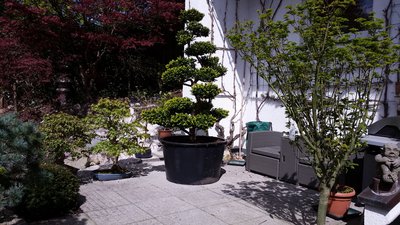 20160504_145646.jpg