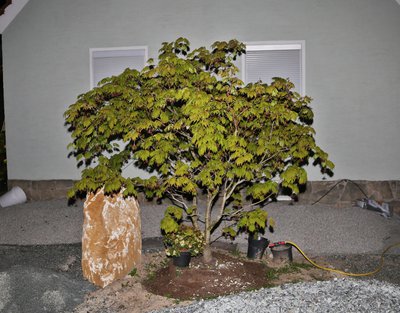 5D4A7758.JPG