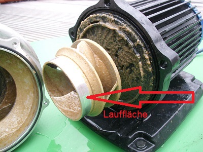 Fläche.jpg