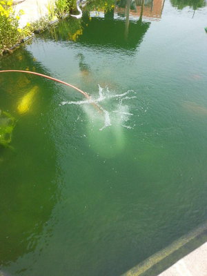 50cm Ring 90cm Wassertiefe.jpg