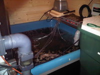 IMG00288-20110311-1848.jpg