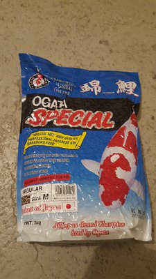 20160531_121327.jpg