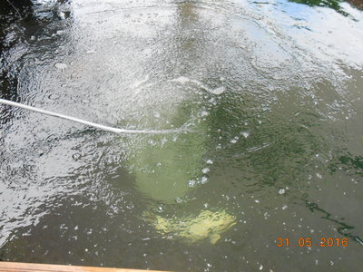 DSCN0198.JPG
