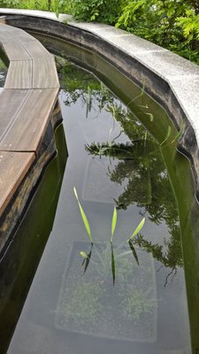 WP_20160604_08_58_27_Pro.jpg